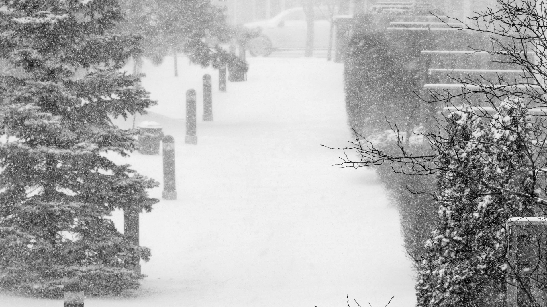 Snow-filled-walkway